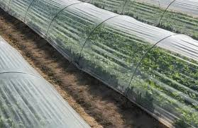 تصویر 1 از نایلون عریض کشاورزی با ضخامت استاندارد مناسب پوشش زمین